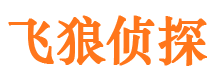 新平外遇调查取证